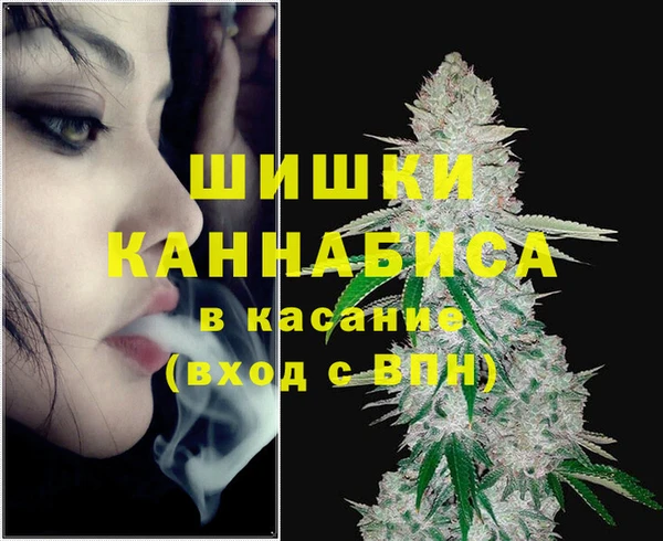 сатива Алзамай