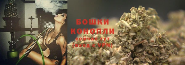 твердый Няндома