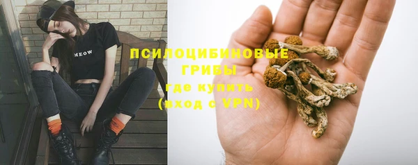 стафф Алексин
