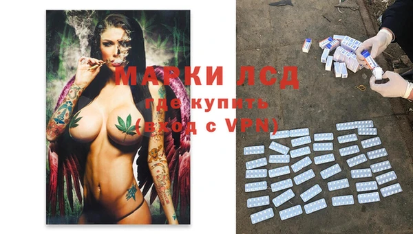 сатива Алзамай