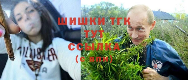 крисы Алексеевка