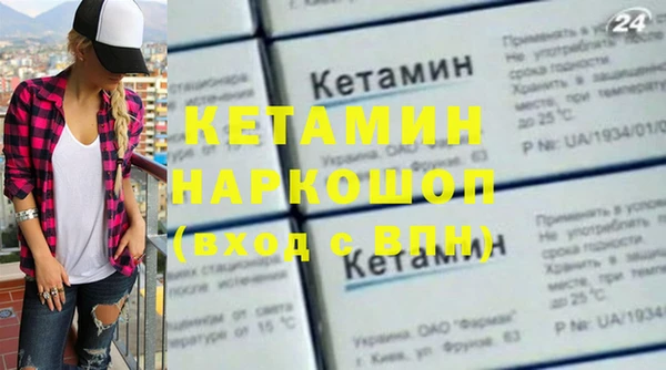 индика Новозыбков