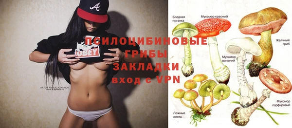 сатива Алзамай